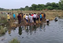Photo of झांसी: सिमरधा बांध में डूबे दो दोस्त, पिकनिक मनाने गए थे – लापरवाही ने ले ली जान