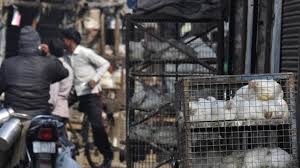 Photo of नोएडा में खाद्य सुरक्षा विभाग की बड़ी कार्रवाई: 11 मीट दुकानों के लाइसेंस रद्द, सभी शॉप्स सील