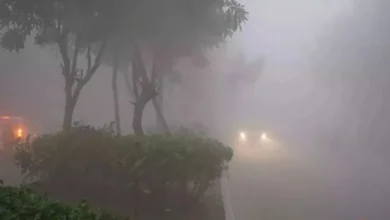 Photo of उत्तर प्रदेश के 21 जिलों में रेड अलर्ट: कड़ाके की ठंड और घने कोहरे की चेतावनी