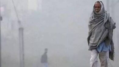 Photo of घने कोहरे और कड़ाके की ठंड के चलते कक्षा 1 से 8 तक के स्कूलों का समय बदला