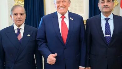 Photo of गाजा के लिए अंतरराष्ट्रीय स्थिरीकरण बल पर अमेरिका का बड़ा बयान, पाकिस्तान की भूमिका को सराहा