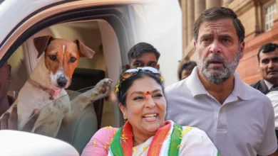 Photo of संसद में कुत्ता लेकर पहुंची कांग्रेस सांसद पर राहुल गांधी का बयान