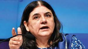 Photo of दिल्ली में बढ़ते प्रदूषण पर मेनका गांधी का विवादित बयान: पटाखे जलाने वाले हैं देशद्रोही