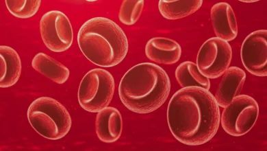 Photo of आयरन की कमी (Anemia): लक्षण, कारण और इसे दूर करने के लिए क्या खाएं