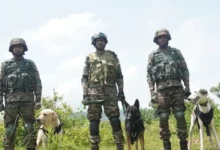 Photo of भारतीय सेना के K9 डॉग्स ने दिखाया दम, बम डिटेक्शन से ट्रैकिंग तक किया शानदार प्रदर्शन