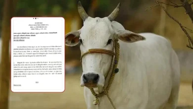 Photo of बरेली में शिक्षकों को भूसा जुटाने का आदेश बना विवाद, लेटर वायरल होने से मचा हड़कंप