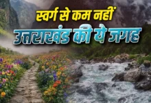 Photo of उत्तराखंड की ‘वैली ऑफ फ्लावर्स’ जून से खुलेगी, फूलों की घाटी में दिखेगा स्वर्ग जैसा नजारा