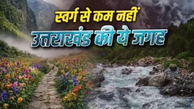 Photo of उत्तराखंड की ‘वैली ऑफ फ्लावर्स’ जून से खुलेगी, फूलों की घाटी में दिखेगा स्वर्ग जैसा नजारा