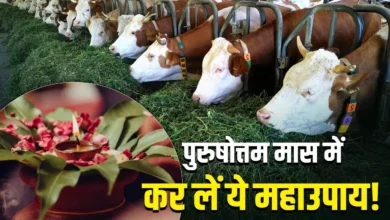 Photo of पुरुषोत्तम मास 2026: 15 जून से पहले करें ये उपाय, भगवान विष्णु-लक्ष्मी की कृपा से दूर होंगी परेशानियां